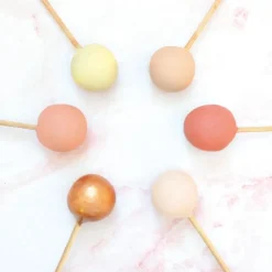 20 bâtonnets pour cake pops