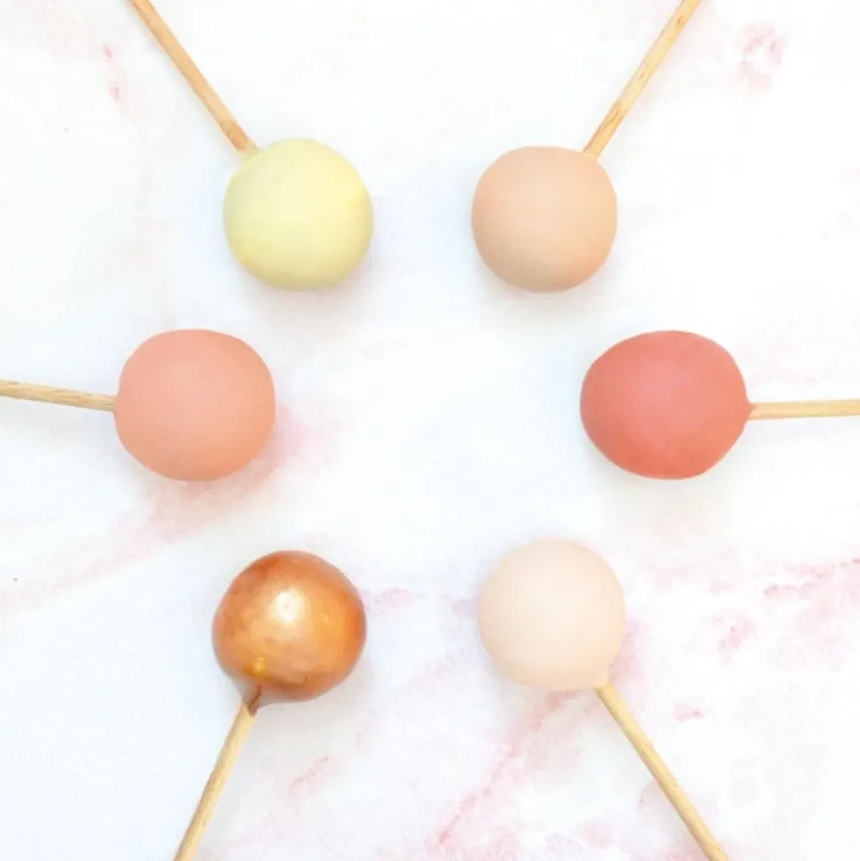 20 bâtonnets pour cake pops