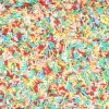 Décors sucrés vermicelles multicolores 80g