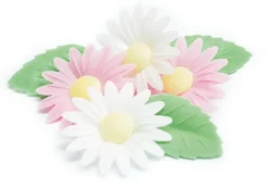 Fleurs azyme marguerites/feuilles vertes