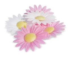 Fleurs azymes 18 marguerites
