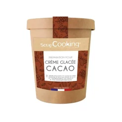 Kit préparation pour glace maison - Cacao
