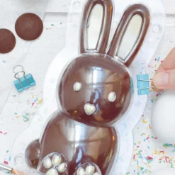 Moule 3D choco lapin