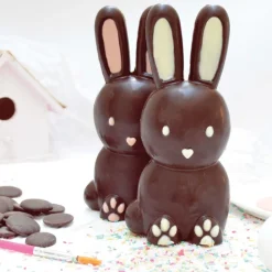 Moule 3D choco lapin