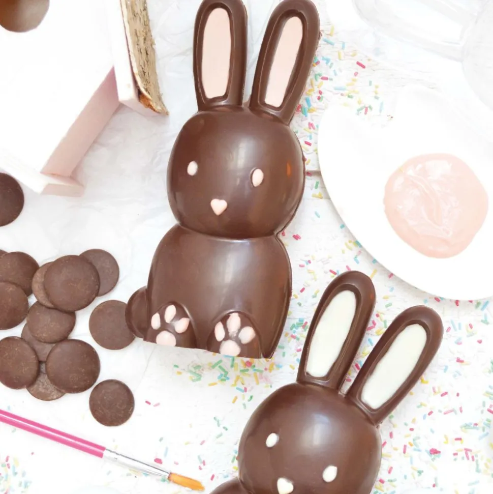 Moule 3D choco lapin