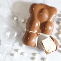 Moule 3D choco ourson