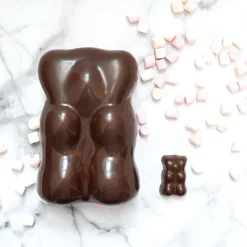 Moule 3D choco ourson