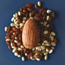 Moule silicone trompe-l'œil amande individuel