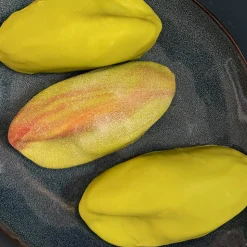 Moule silicone trompe-l'œil pistache individuel
