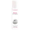 Spray colorant en bombe ARGENT