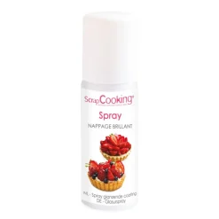 Spray nappage brillant