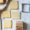 Tampon à biscuits Dinosaure et emporte pièce